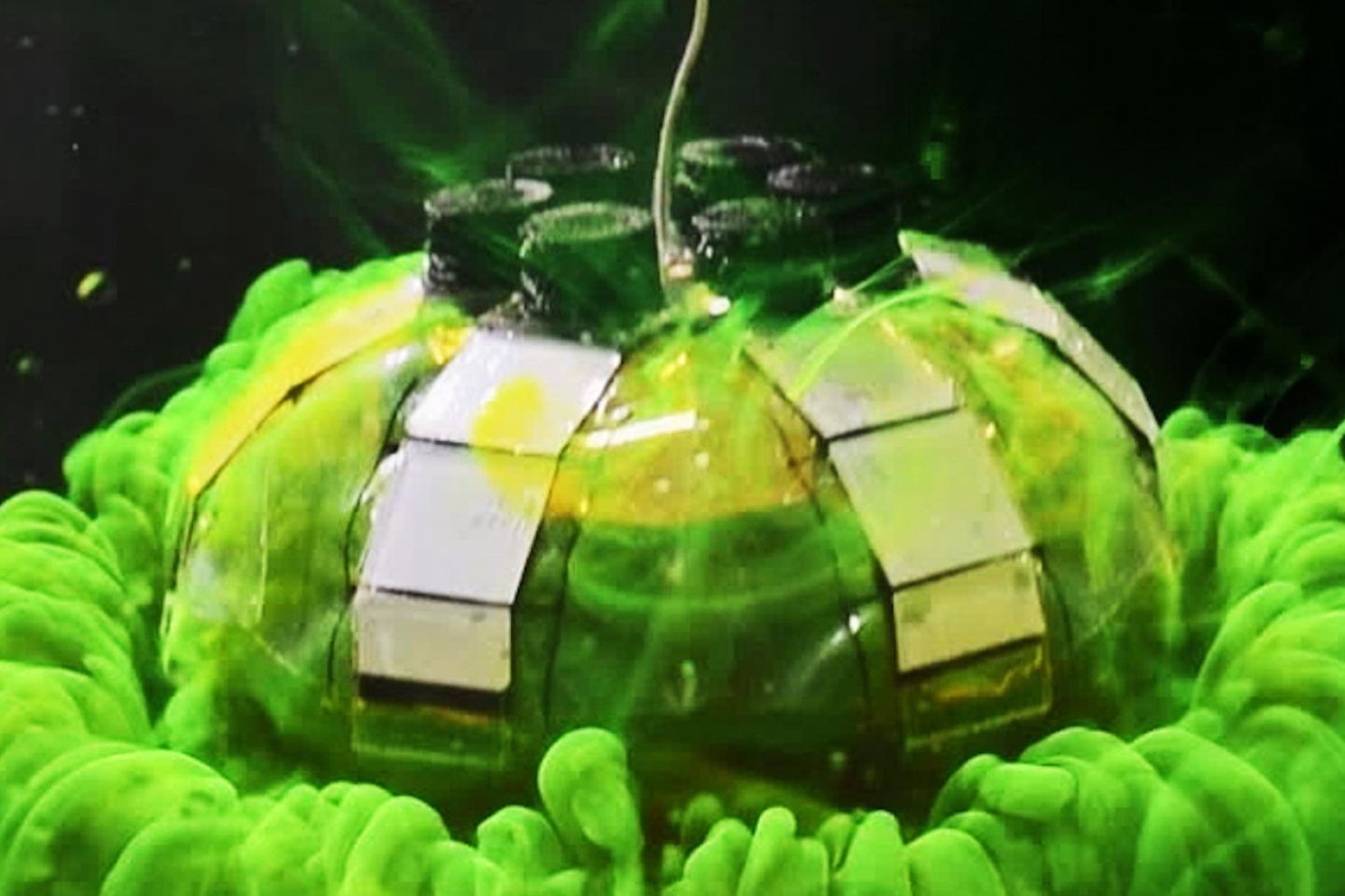 Ein quallenähnlicher Roboter