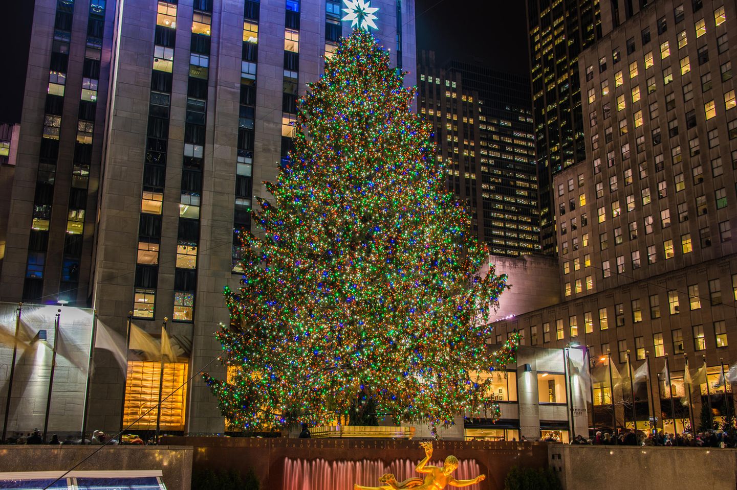 Christmas Tree at Rockefeller
