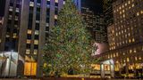 Christmas Tree at Rockefeller