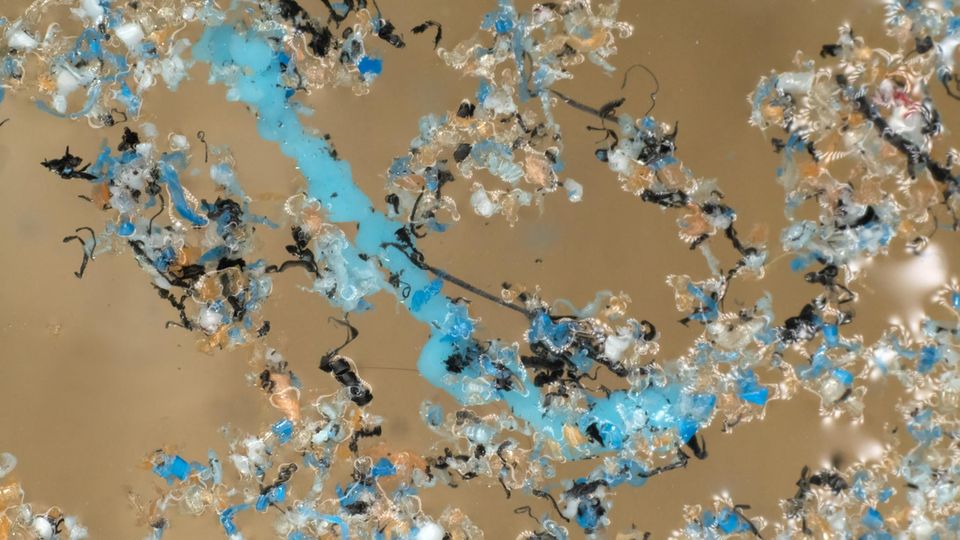 In der Natur zerfällt Plastik sehr langsam, durch UV-Strahlung oder im Wasser durch die Bewegung von Wellen und Wind. In dieser Wasserprobe sieht man, wie Verschmutzung duch Plastikpartikel aussieht: Meist sind es ganz verschiedene Fasern und Partikel aus unterschiedliche Plastikarten