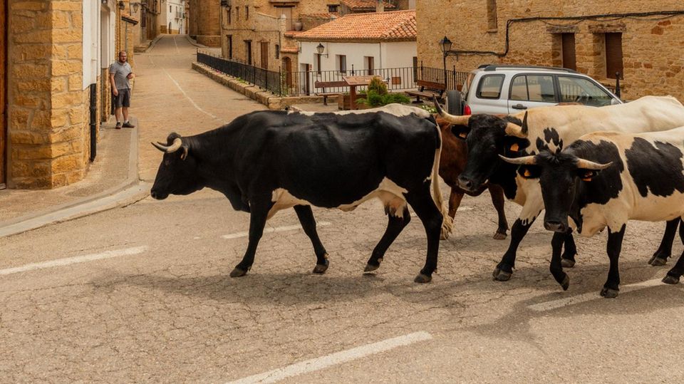 Die Routen der Wanderhirten führen mitten durch Dörfer, hier La Iglesuela del Cid in Aragonien