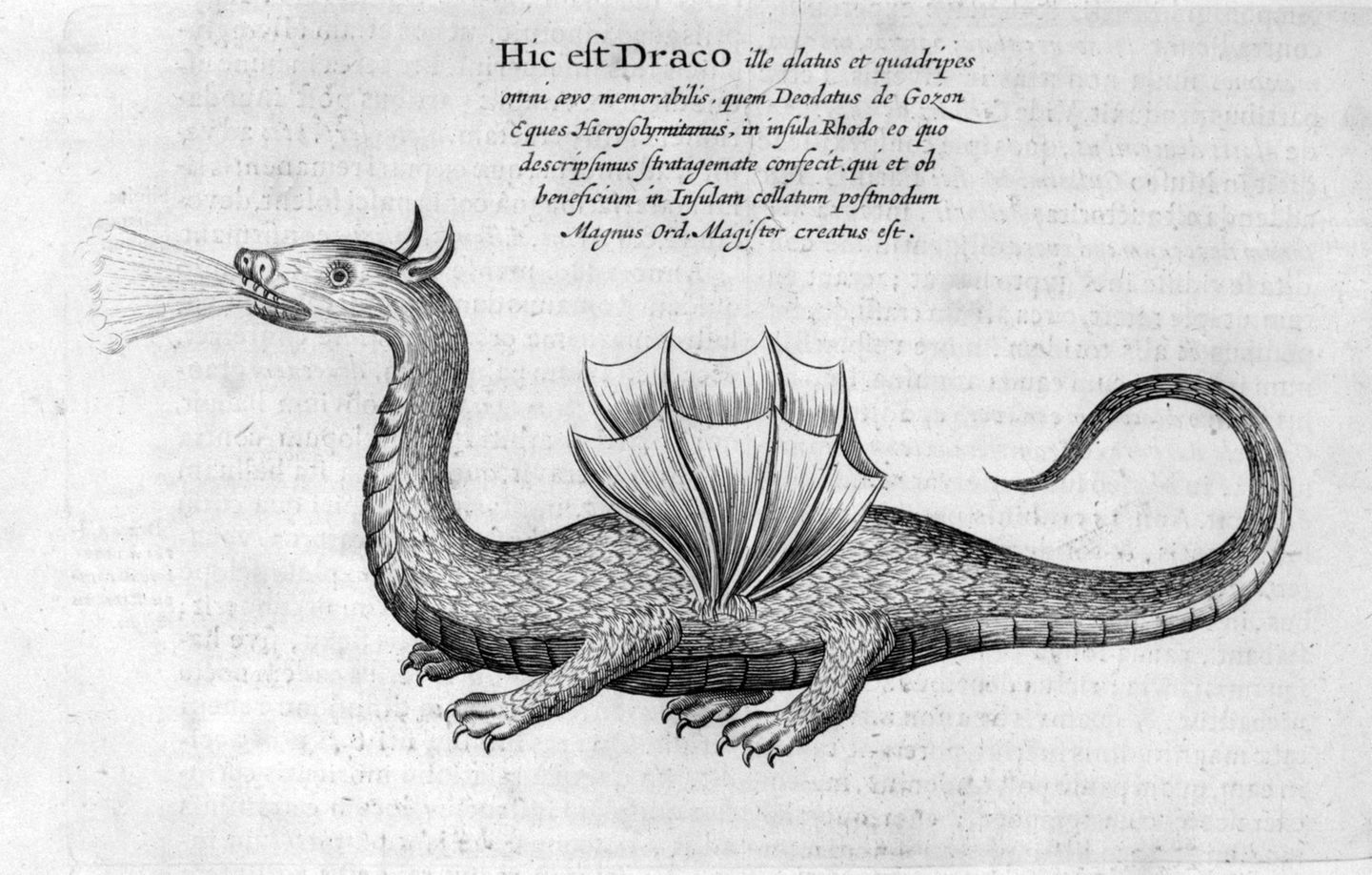 Achtung, Feuer: Der Drache Drache speiht Feuer auf einer Zeichnung von 1678