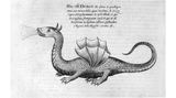 Drache speiht Feuer auf einer Zeichnung von 1678