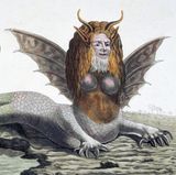 Zeichnung einer Harpyie