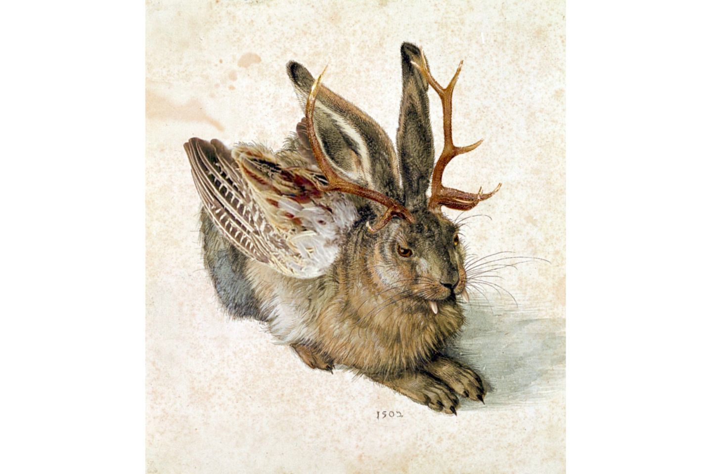 Der Streich der Bayern: Der Wolpertinger Wolpertinger sitzt