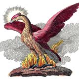 Phönix steigt aus dem Feier auf