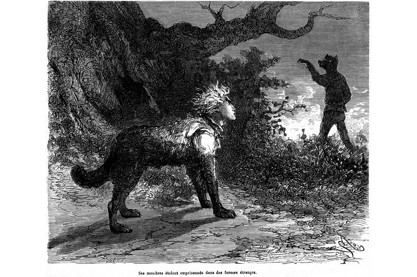 Böse wie der Teufel: Der Werwolf Mann verwandelt sich in Werwolf