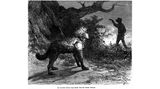 Mann verwandelt sich in Werwolf