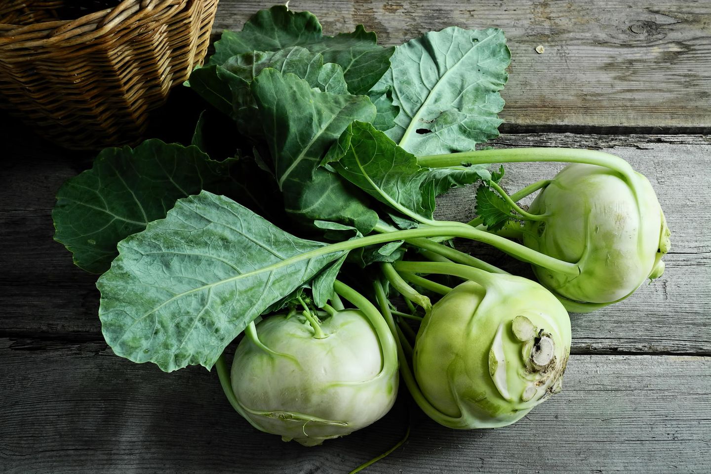 Kohlrabi ab Januar vorziehen Aussaat im Januar: Kohlrabi