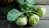 Aussaat im Januar: Kohlrabi