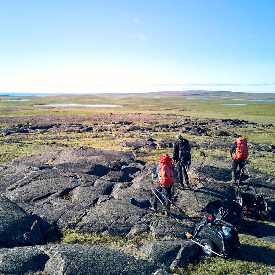 Buckelpiste im Sumpf: Gletscher haben diese Felsen einst poliert 