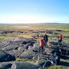 Buckelpiste im Sumpf: Gletscher haben diese Felsen einst poliert 