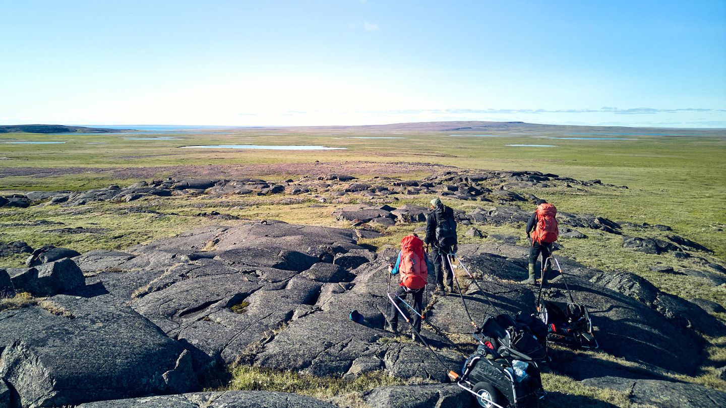 Entdeckergeist: Buckelpiste im Sumpf: Gletscher haben diese Felsen einst poliert Buckelpiste im Sumpf: Gletscher haben diese Felsen einst poliert