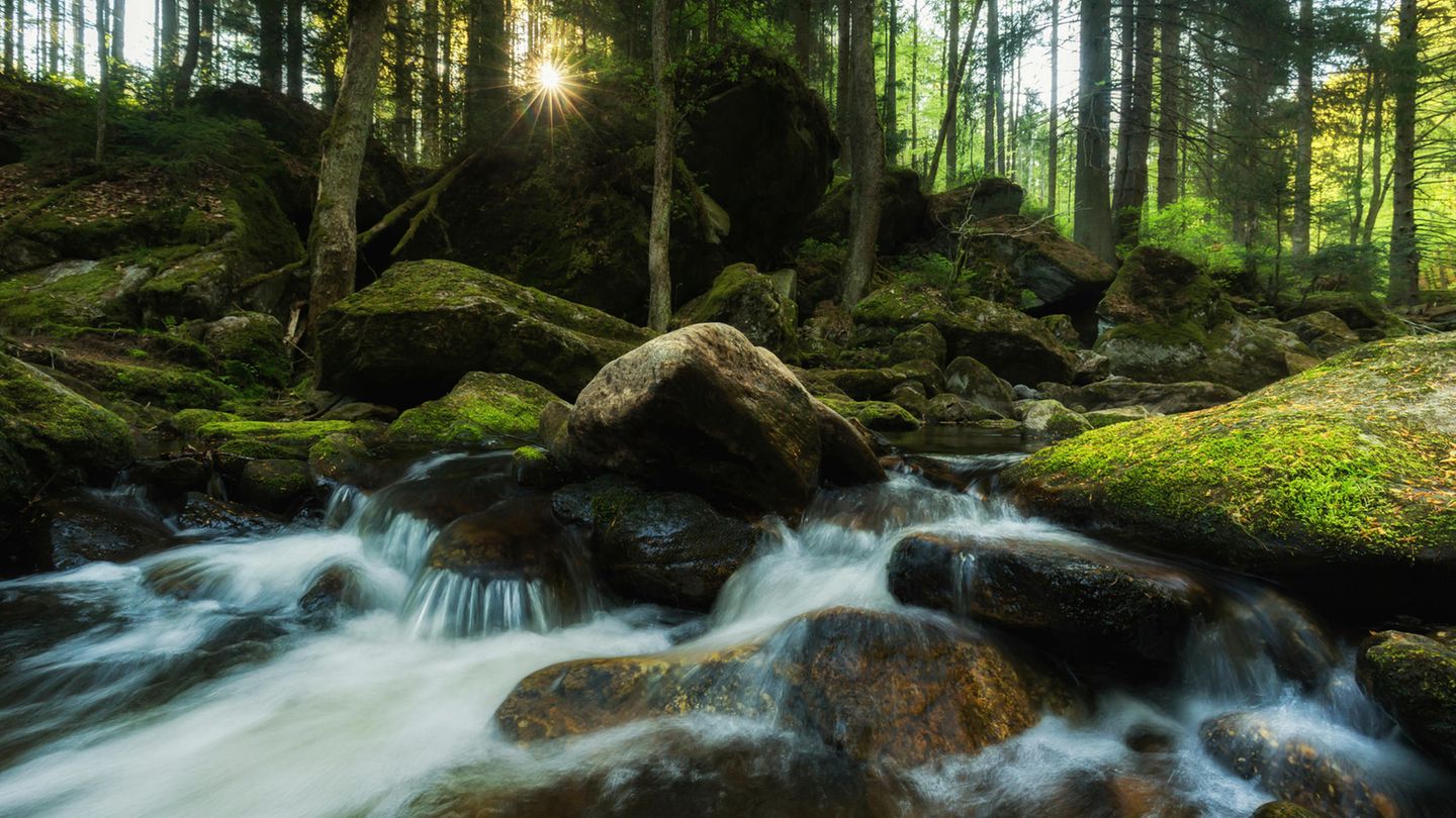 Steinklamm