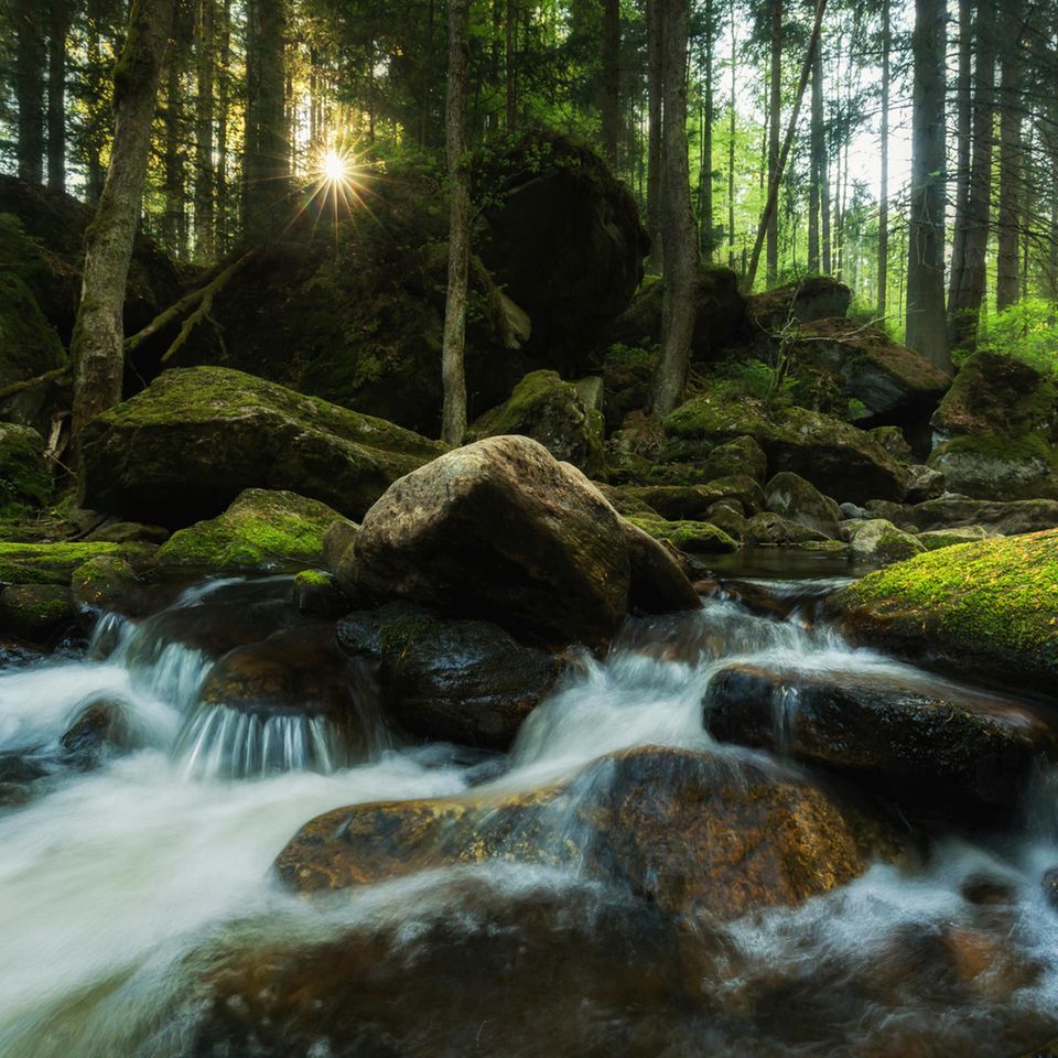 Steinklamm