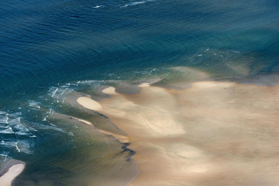 Zehntausende Krater befinden sich auf dem Boden der Nordsee. Eine Studie zeigt, dass sie von den Angriffen hungriger Schweinswale zeugen könnten  1.4982