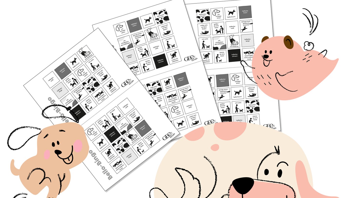 GEOlino Extra: Bello-Bingo