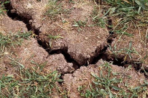 Trockenheit und Erosion bedrohen viele Böden weltweit