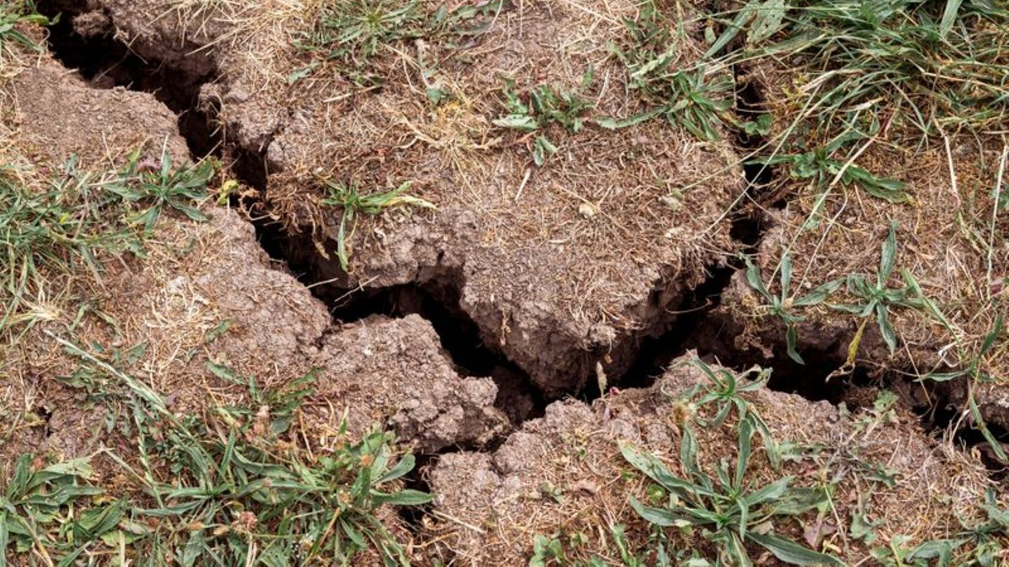 Trockenheit und Erosion bedrohen viele Böden weltweit