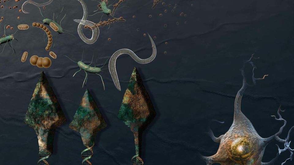 Ändern sich die Umweltbedingungen, passt sich die genetische Ausstattung des Menschen daran langfristig an (illustrativ-künstlerische Darstellung)