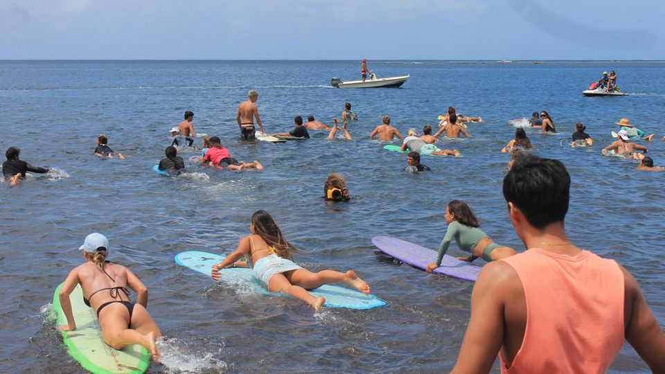 Die Surfer springen auf ihren Surfbrettern ins Wasser