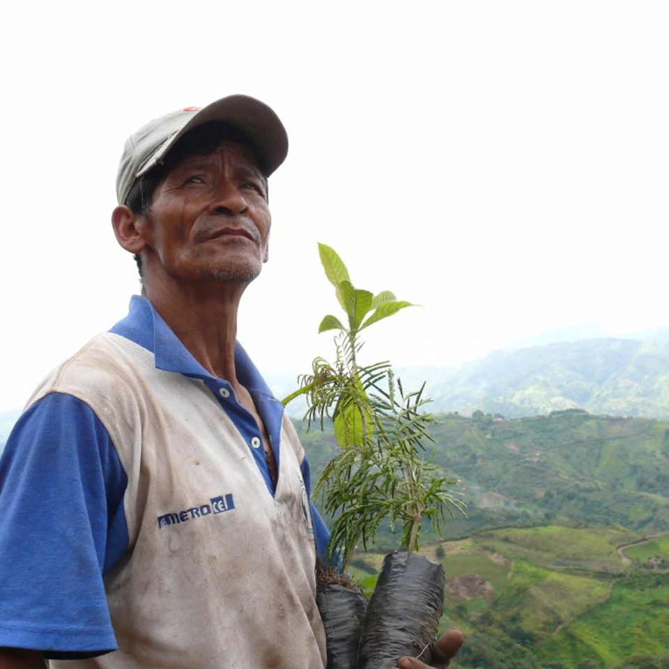 Ein Mann hält Baumsetzlinge im Arm und blickt in eine weite Landschaft Ein Mann hält Baumsetzlinge im Arm und blickt in eine weite Landschaft