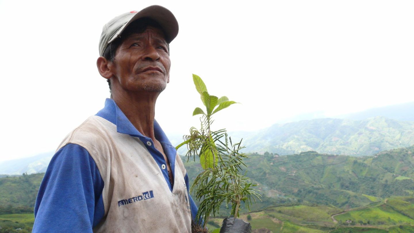 Ein Mann hält Baumsetzlinge im Arm und blickt in eine weite Landschaft