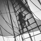 Katze klettert Mastleiter hinaus