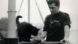 Sea Scout bringt Katze Fressen