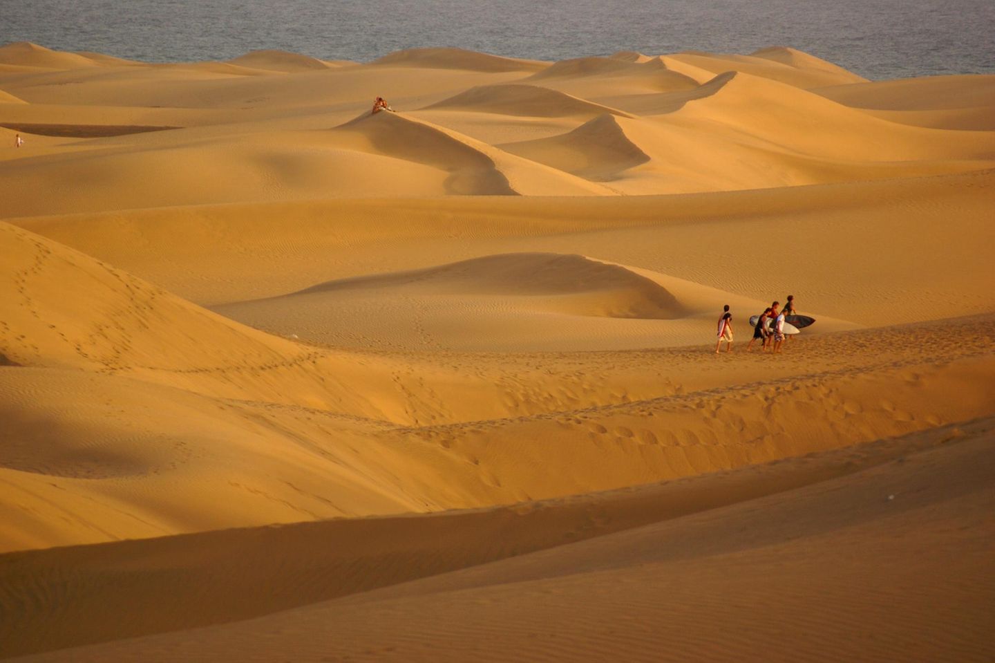 Eine Dünenlandschaft, Personen mit Surfboards