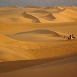 Eine Dünenlandschaft, Personen mit Surfboards