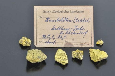 Etwa haselnussgroße Brocken des äußerst seltenen Minerals Humboldtin haben Fachleute in einer Gesteinssammlung im Norden Bayerns