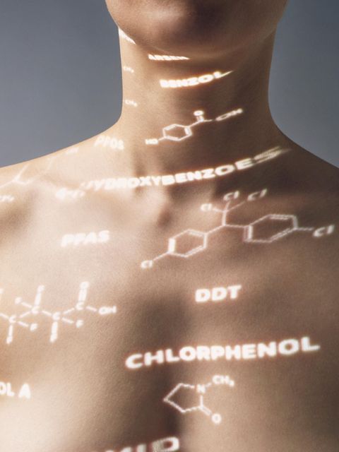 Oberkörper einer Frau