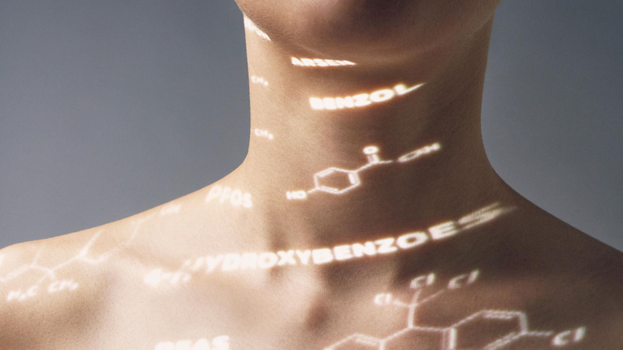 Oberkörper einer Frau Oberkörper einer Frau