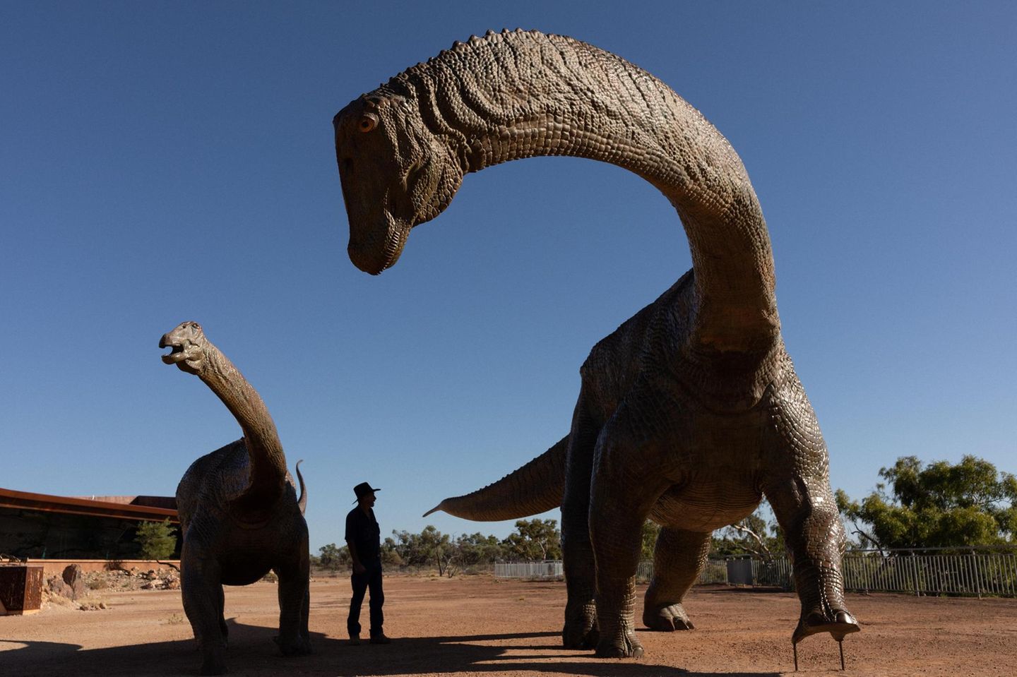 Hallo, kleiner Mensch! Mann steht zwischen Dinosaurier-Exponaten