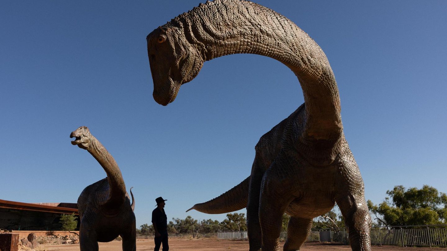 Hallo, kleiner Mensch! Mann steht zwischen Dinosaurier-Exponaten
