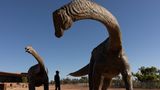 Mann steht zwischen Dinosaurier-Exponaten