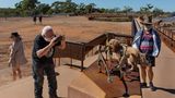 Tourist fotografiert Dinosaurier-Exponat