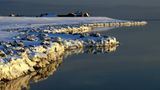 felsiger, schneebedeckter Strandabschnitt am Meer, in der Ferne sind Häuser zu sehen