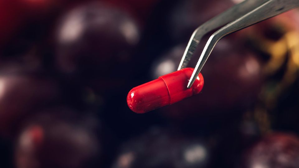 Resveratrol, ein in roten Weintrauben enthaltener Pflanzenstoff, soll als Nahrungsergänzungsmittel die Hautalterung aufhalten