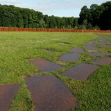 Wiese mit Stahlplatten, Wald im Hintergrund