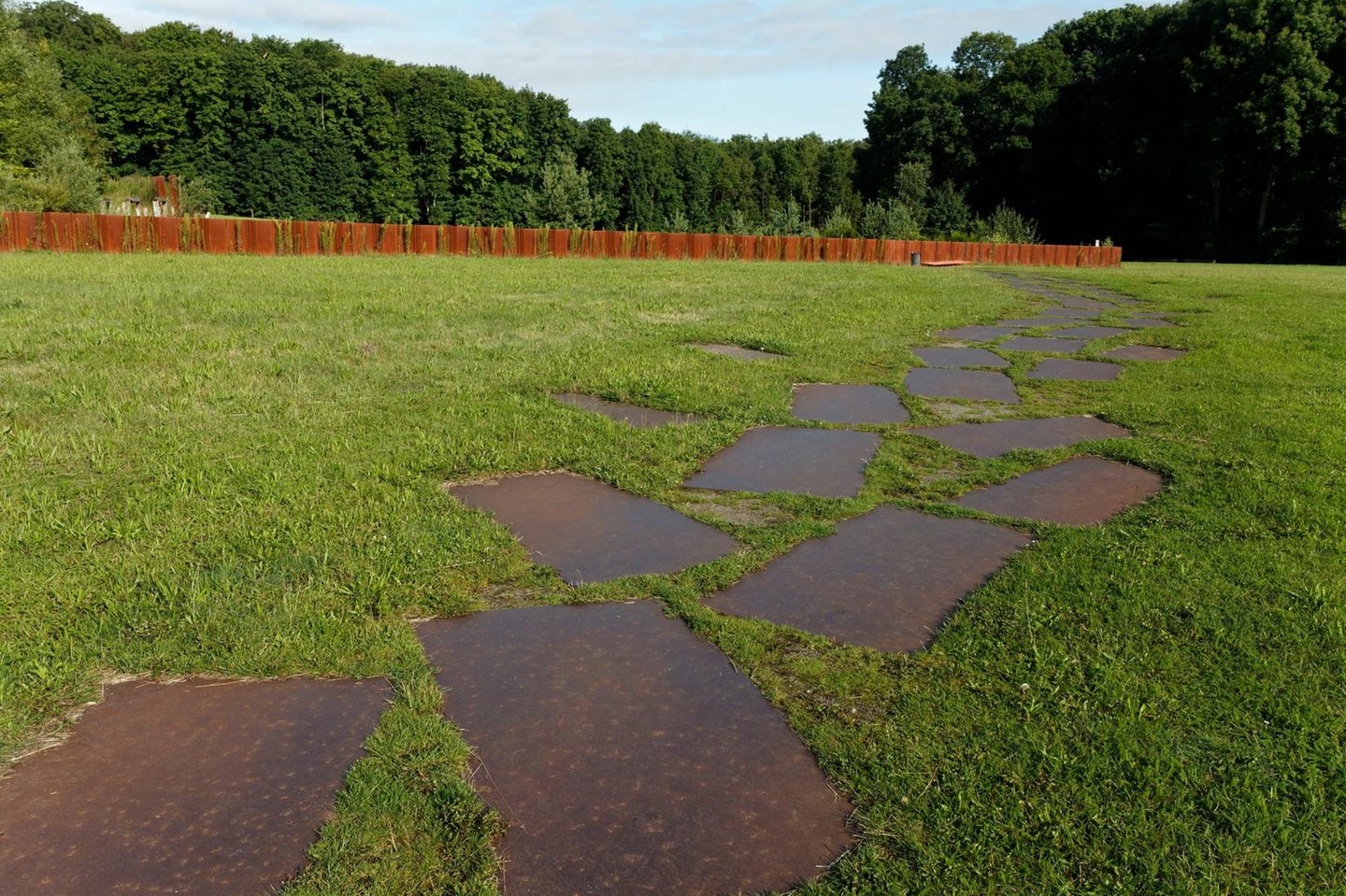 Wiese mit Stahlplatten, Wald im Hintergrund