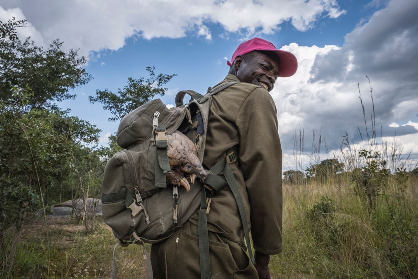 Zweiter in der Kategorie "Natur, Tierwelt und Naturschutz" Umweltschützer mit Schuppentier im Rucksack in einem Nationalpark in Simbabwe.