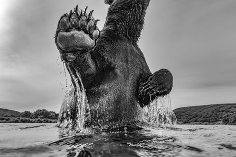 Bar in Kamchatka