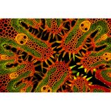 Dieses Bild zeigt einen 30 Mikrometer kleinen Querschnitt von Strandhafer. "Das Färben und Präparieren der Probe war sehr knifflig. Ich musste den kleinsten Pinsel verwenden, um die weniger als ein Millimeter großen Teile in verschiedenen Färbe- und chemischen Lösungen zu bewegen, bevor ich die Stängel auf dem Objektträger positionieren konnte", erklärt Gerhard Vlcek seinen Schaffensprozess. 