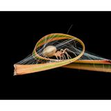 Eine Sackspinne sitzt in ihrem Netz auf einem gekräuselten Grashalm. Bei seiner Annäherung berührte Fotograf David Joseph versehentlich das nahegelegene Gras: "Ich war wütend, weil mir die Aufnahme nicht gelang, bevor die Spinne mich bemerkte. Es war erst mein zweiter Monat mit einer richtigen Kamera, und es gab noch viel zu lernen."