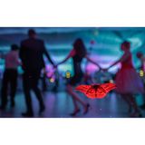 "Ich fotografierte bei einer Hochzeit an einer Waldlichtung in der wunderschönen Umgebung von Uzsa in Ungarn. Die Beleuchtung des Saals zog viele Insekten an, die sich an den Fenstern niederließen. Als ich näher kam, bemerkte ich, dass sich ein Eichenpfauenspinner (Antheraea yamamai) darunter befand", erinnert sich Csaba Daróczi. Mit seinem Bild belegt er den ersten Platz in der Kategorie "Butterflies".