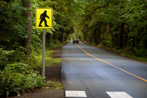 Zweifelsfrei nachweisen lassen sich Bigfoots bisher nur auf (nicht ganz ernst gemeinten) Verkehrsschildern 
