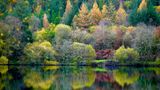 herbstlicher Wald spiegelt sich in ruhigem Wasser
