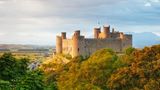 Burg auf einer Erhöhung in Mitten von Bäumen